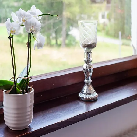 Dog-friendly In Bregenzerwald Sibratsgfäll