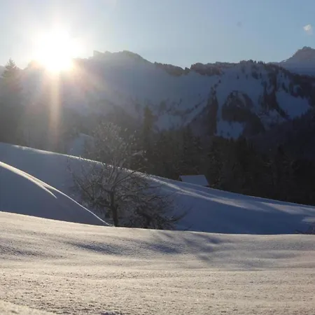 Dog-friendly In Bregenzerwald *