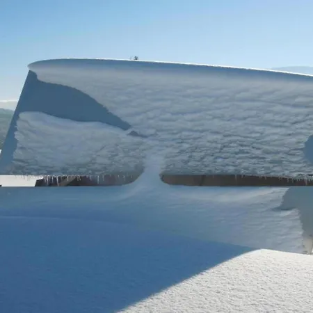 Apartamento Dog-friendly In Bregenzerwald