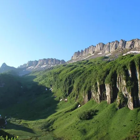 Dog-friendly In Bregenzerwald *