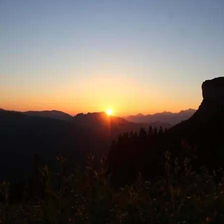 Dog-friendly In Bregenzerwald