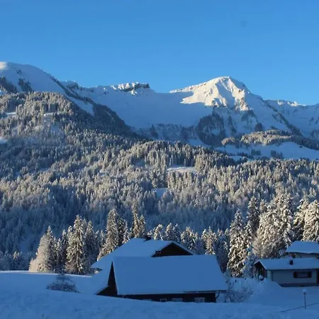 Dog-friendly In Bregenzerwald Apartamento *