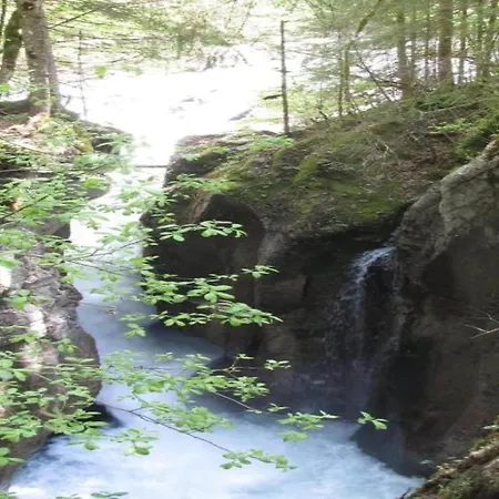 Apartamento Dog-friendly In Bregenzerwald