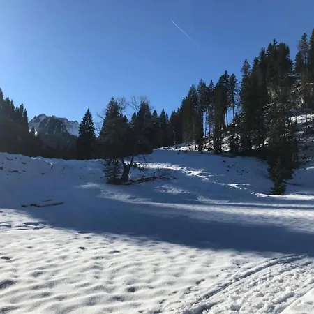 Dog-friendly In Bregenzerwald Apartamento *